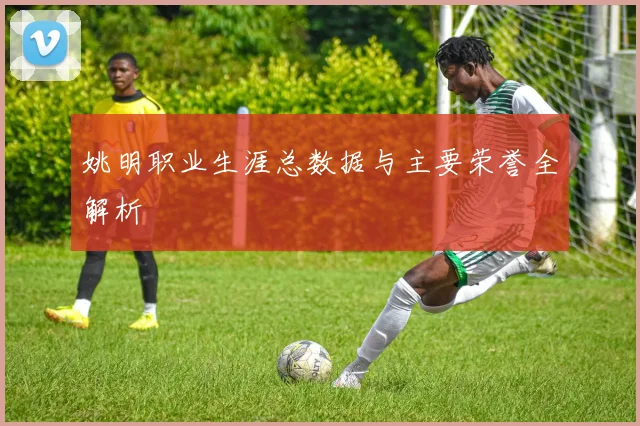 姚明职业生涯总数据与主要荣誉全解析