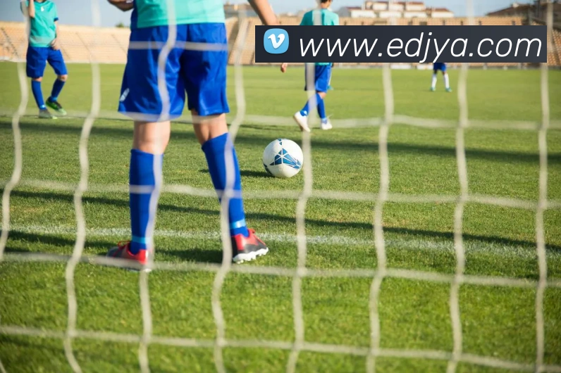 世界杯竞猜网站推荐平台生态图